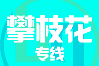 深圳到攀枝花西区专线
